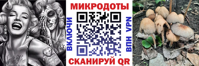 Галлюциногенные грибы прущие грибы  Купить  Георгиевск 